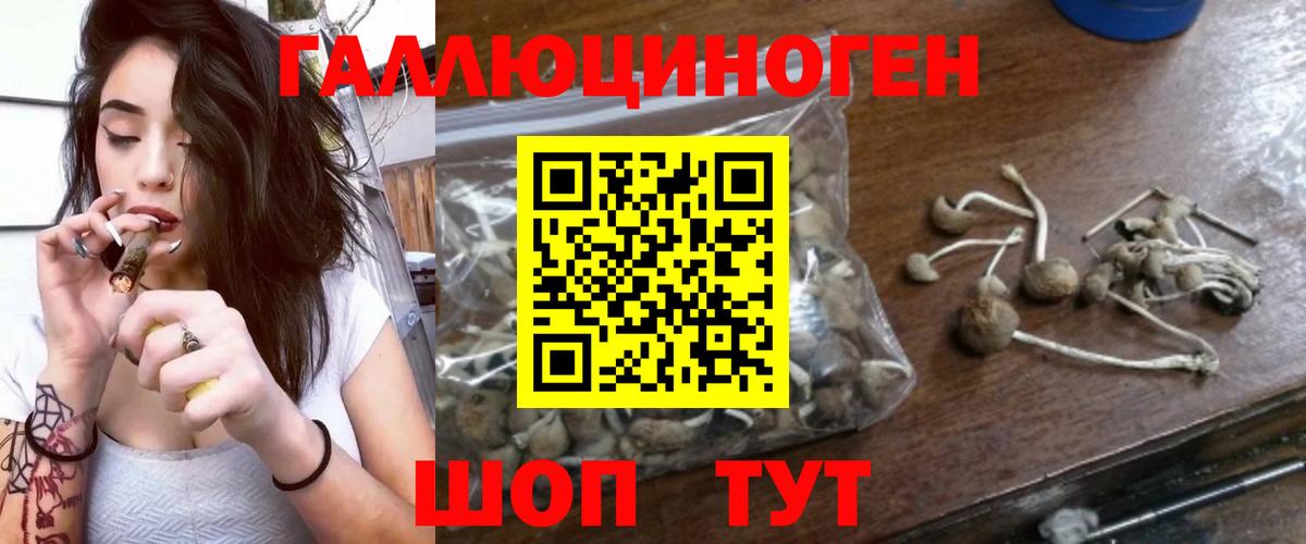 Урус-Мартан  Галлюциногенные грибы Psilocybine cubensis  Псилоцибиновые грибы Psilocybe  Вход с VPN 